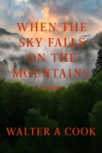 Enlarge image Cover: When the Sky Falls on the Mountains - Walter A Cook