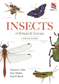 Enlarge image Cover: Insects of Britain and Europe - Princeton University Press