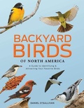Cover: Backyard Birds of North America - Schiffer Publishing Ltd