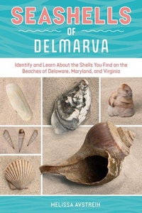 Enlarge image Cover: Seashells of Delmarva - Schiffer Publishing Ltd