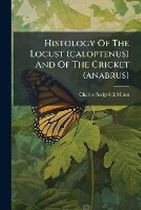 Abbildung von: Histology Of The Locust (caloptenus) And Of The Cricket (anabrus) - Hutson Street Press