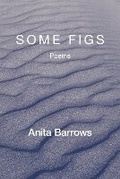 Cover: Some Figs - Kelsay Books