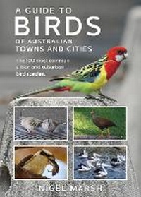 Enlarge image Cover: A Guide to Birds of Australian Towns and CIties - New Holland Publishers