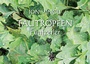 Cover: Tautropfen - Fine-Press-Atelier