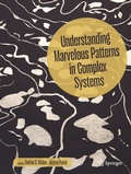 Cover: Understanding Marvelous Patterns in Complex Systems - Springer