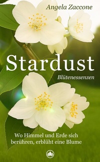 Abbildung von: Stardust - tredition