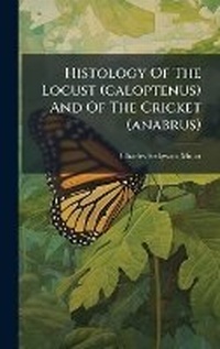 Abbildung von: Histology Of The Locust (caloptenus) And Of The Cricket (anabrus) - Hutson Street Press