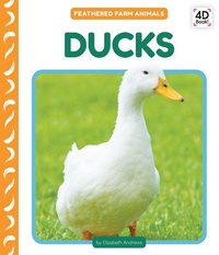 Enlarge image Cover: Ducks - Cody Koala