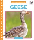 Cover: Geese - Cody Koala