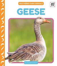 Enlarge image Cover: Geese - Cody Koala