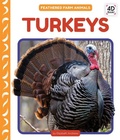 Cover: Turkeys - Cody Koala