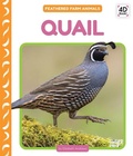 Cover: Quail - Cody Koala