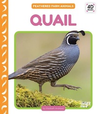 Enlarge image Cover: Quail - Cody Koala