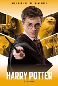 Cover: Harry Potter - Essential Library
