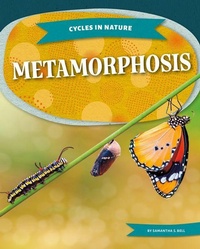 Enlarge image Cover: Metamorphosis - Kids Core