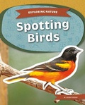 Cover: Spotting Birds - Kids Core