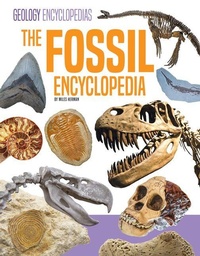 Enlarge image Cover: Fossil Encyclopedia - Encyclopedias