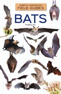 Cover: Bats - Field Guides
