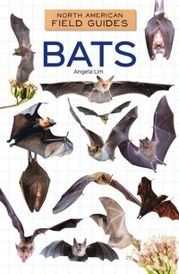 Enlarge image Cover: Bats - Field Guides