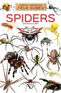 Cover: Spiders - Field Guides