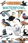 Cover: Waterfowl - Field Guides