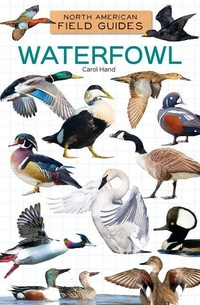 Enlarge image Cover: Waterfowl - Field Guides