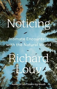Enlarge image Cover: Noticing - Algonquin Books