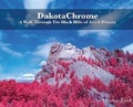 Cover: DakotaChrome - Painted Gate Publishing