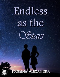 Enlarge image Cover: Endless as the Stars - Triplicity Publishing, LLC