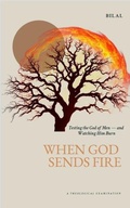 Cover: When God Sends Fire:   Testing the God of Men - and Watching Him Burn - Bilal