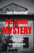 Cover: The Mario Mystery - Cassiatorre