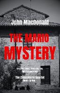 Enlarge image Cover: The Mario Mystery - Cassiatorre