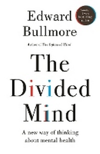 Abbildung von: The Divided Mind - New River Books Ltd