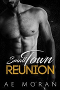Cover: Small Town Reunion - The Invisible Publishing Company