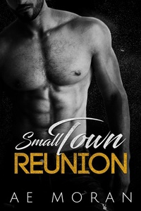 Enlarge image Cover: Small Town Reunion - The Invisible Publishing Company