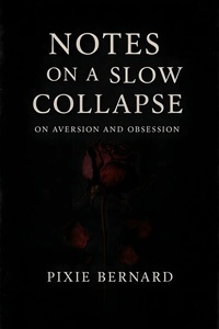 Abbildung von: Notes on a Slow Collapse - Publishdrive