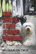 Cover: Cmo sobreviv a traves de grandes adversidades - Bookbaby
