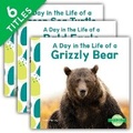 Cover: Day in the Life of an Animal (Set) - Abdo Kids Junior