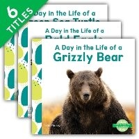Enlarge image Cover: Day in the Life of an Animal (Set) - Abdo Kids Junior