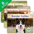 Cover: Dogs Set 5 (Set) - Abdo Kids Jumbo