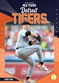 Cover: Detroit Tigers - Fly!