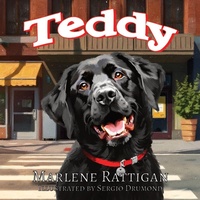 Enlarge image Cover: Teddy - kidz-fiz-biz