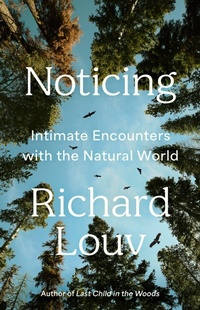 Enlarge image Cover: Noticing - Little, Brown and Company