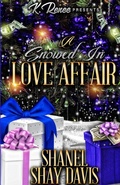 Cover: A Snowed In Love Affair - Lulu.com