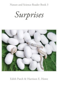 Enlarge image Cover: Surprises - Living Book Press