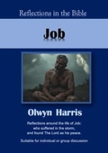 Cover: Job - Reading Stones Publishing
