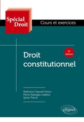 Cover: Droit constitutionnel - ELLIPSES