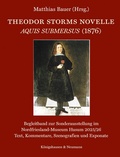 Cover: Theodor Storms Novelle Aquis submersus (1876) - K&ouml;nigshausen & Neumann