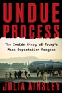 Cover: Undue Process - Collins