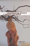 Cover: WHAT BLEAK ANGELS CARRIED YOUR BED - Omnidawn Publishing